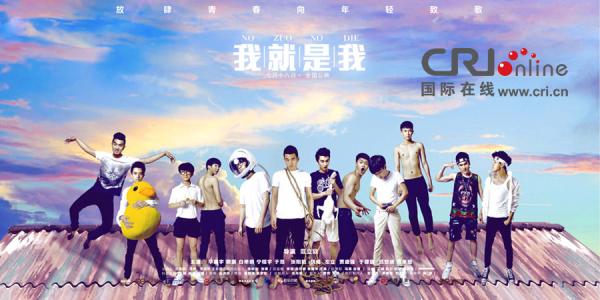 海牙国际法学院Scienceandengineeringdegreecertificate